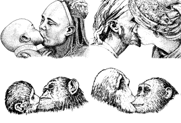 Orális érintés, csók, csócsáló etetés: csimpánz ember Szociális