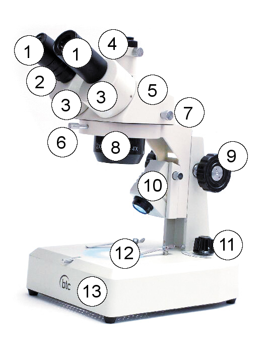 A mikroszkóp részei (1. ábra) 1. ábra 1. Okulár (WF10x) 2. Dioptria-állító gyűrű 3. Szemtávolság beállítására alkalmas dönthető prizmaházak 4. Fototubus C-mount menettel 5.