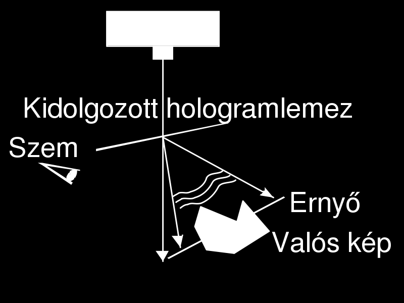 kérdéses tárgyról szórt fény intenzitás és fáziseloszlását egyaránt, így a látvány teljesen háromdimenziós lesz.