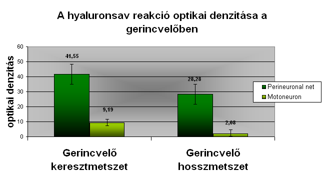 központi idegrendszerbe történ belépése után a reakció er ssége csökkent. Er sen HA pozitív TZ figyelhet meg a nervus vestibulocochlearis esetében is. (2. grafikon).