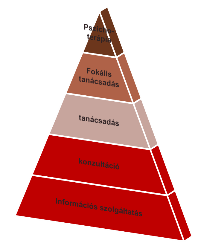 kortárs segítés kompetenciahatárai közé, így tehát az információnyújtás és konzultációs segítség is, ahol már szükséges a segítségért forduló személy pszichoszociális helyzetét a közös munkában