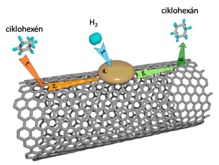 2.23. ábra Szén nanocső hordozott nemes fém katalizátoron történő ciklohexén hidrogénezési folyamat egyik lehetséges mechanizmusának sematikus ábrája 2.3.2. Etén és propén hidrogénezése és dehidrogénezése Az egyszerűbb olefinek (etén, propén, butén stb.