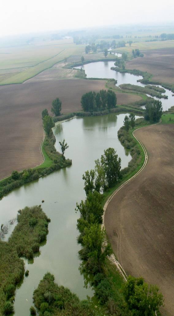 VKI megjelenése a hazai jogszabályokban: 219/2004. (VII. 21.) Korm. rendelet a felszín alatti vizek védelmérõl 220/2004. (VII. 21.) Korm. rendelet a felszíni vizek minősége védelmének szabályairól 221/2004.