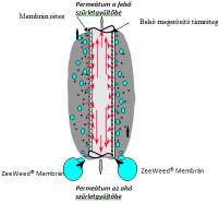 A szilárdanyag szemcsék és a mikroorganizmusok a membránon kívül maradnak és soha nem is jutnak be a