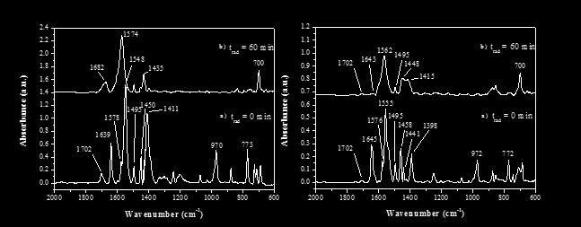 6. ábra A Na-E-3-fenil-propenoát (A) és az LDH-ban interkalált E-3-fenil-propenoát ionok (B) IR spektrumai 0 és 60 percnyi fotoiniciált reakció után A b s z o r b a n c i a A A b s z o r b a n c i a