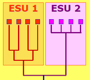 Evolúciósan szignifikáns egységek (ESU) Esettanulmány ny II.