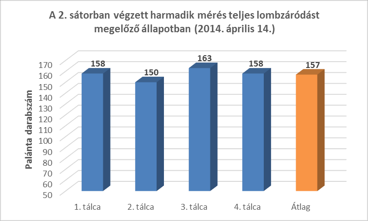 13. ábra. A 2. sátorban végzett harmadik mérés teljes lombzáródást megelőző állapotban (Pócspetri, 2014.