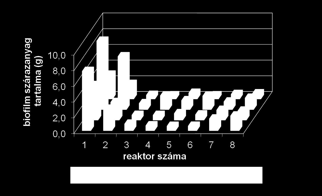 A biofilm szárazanyag