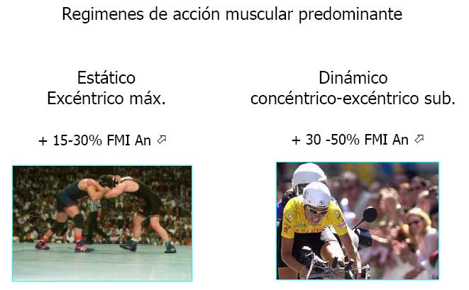 Az állóképesség fogalma Izomtömeg mennyiség használata sport közben Az elvégzett erőkifejték intenzitása Kiemelkedő