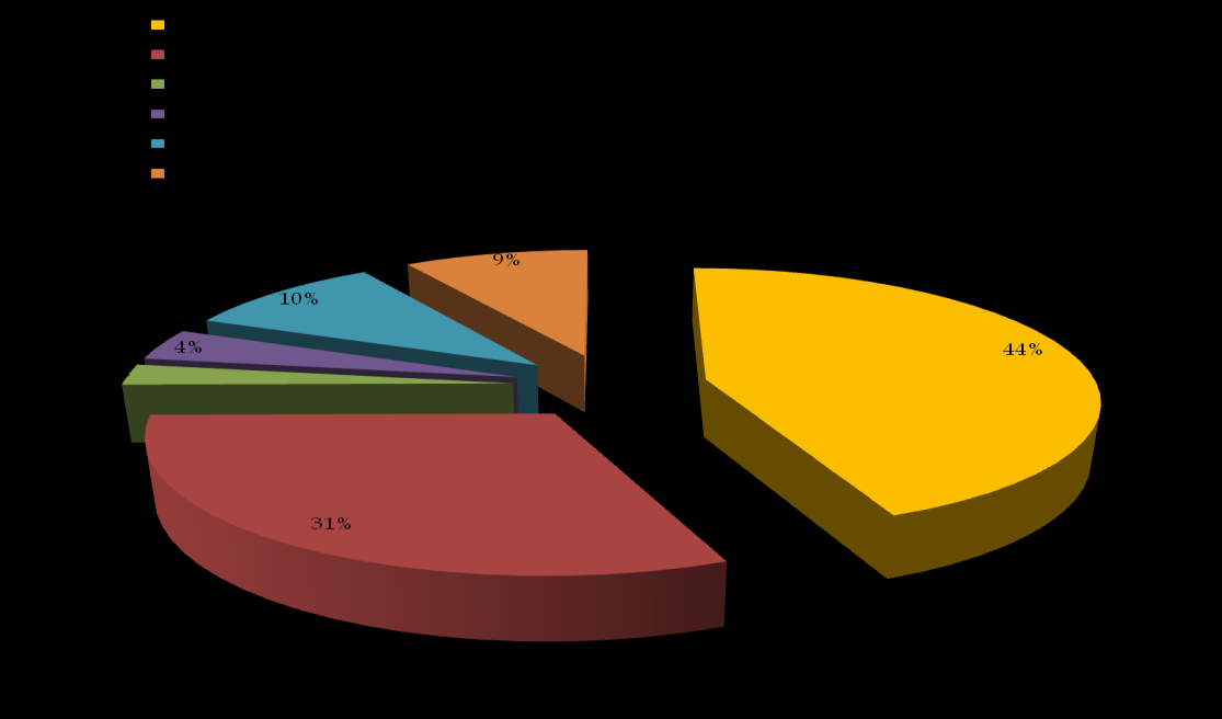 Támogatások Rendkívüli mértékű támogatásra fordított összegek! 2009. évben a felhalmozási hiány 50 %-ának fedezetét biztosítaná 2010.