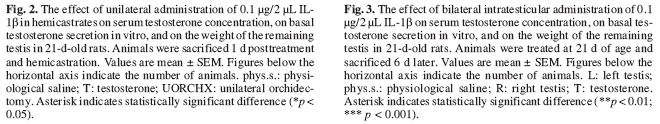 5. ábra b) A here innervációja és szerotonin receptorai, valamint interleukin 1-β lokális hatása közötti kölcsönhatás vizsgálata Tanulmányoztuk, hogy a here részleges denervációja (vasectomia, azaz a