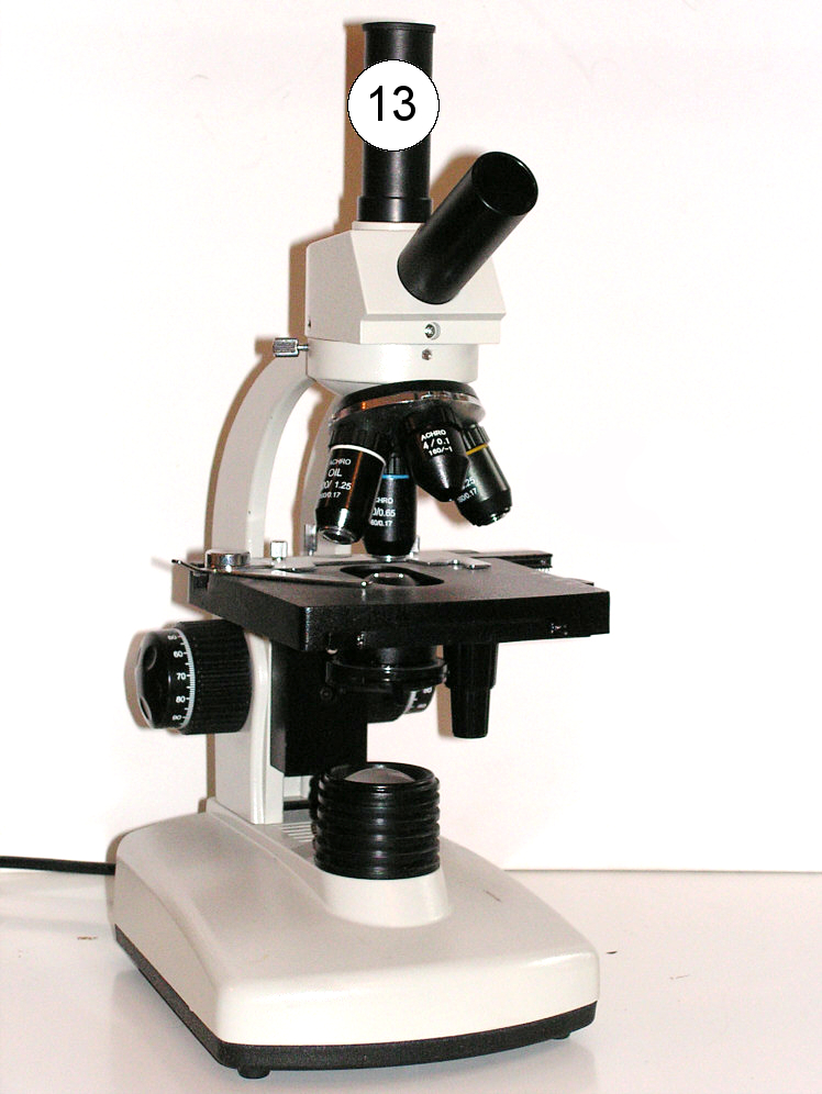 A mikroszkóp részei (1-2. ábra) BIM 105M BIM 105V 1-2. ábra 1. Okulár 2. Revolverfejbe szerelt objektívek (4 db) 3. Tubus 4. Prizmaház 5. Mikrofókuszos élességállító (fókuszáló) gomb 6.