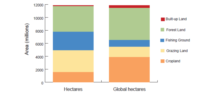 Az 1. ábra azt mutatja, hogy mekkora a különbség a Föld ezen területi egységeinek megoszlásában hagyományos hektárban mérve, illetve az átváltás után globális hektárban. 1. ábra: Világ földterületének szerkezete, a biológiai kapacitás EQF faktorok használata nélkül (Hectares) és EQF faktorok használatával (Global hectares) 2 Forrás: Ewing et al.
