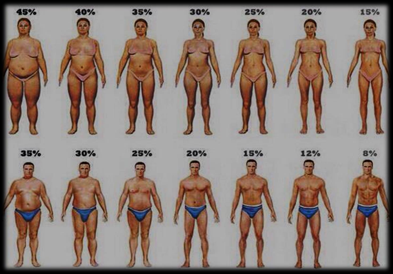 Normál testzsír arány