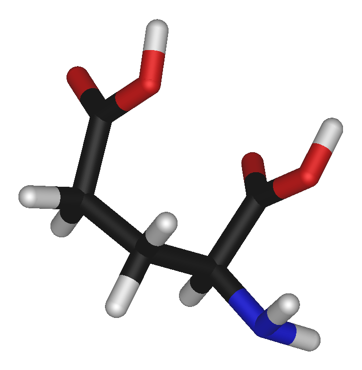 Excitatory and inhibitory neurotransmitters Glutamat (information transmission)