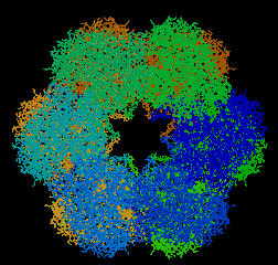 TRAP (Trp attenuation protein) (undekamer, 11 mer) A negyedleges szerkezet és az élettani funkció összefüggése: glutamin szintetáz (dodekamer, 12 mer) Szekretált fehérjék (pl. tripszin, lizozim): ált.