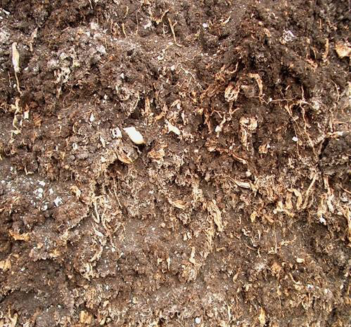 Szerves talaj anyag (organic material) Az alábbi két követelménybıl legalább egyet kielégít 1. legalább 20 % szerves szén a földes részben, vagy 2.