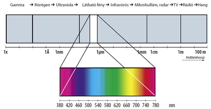 2.10 ábra: A sugárzás spektruma (Forrás: http://vegha-pcsuli.hu/grafika/szin.htm) A különböző hullámhosszúságú látható sugarakra szemünk érzékenysége más és más.