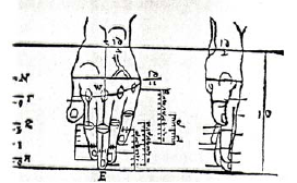 Az antropometriai adatok fajtái: 1. Statikus (strukturális) adatok. 2. Dinamikus (funkcionális) adatok. 3.