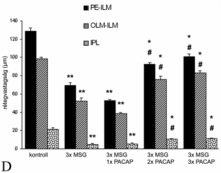 Egyszeri PACAP kezelés hatására nem tapasztaltunk jelentős változást az MSG-vel kezelt retinához képest (III.3.2.A. ábra).