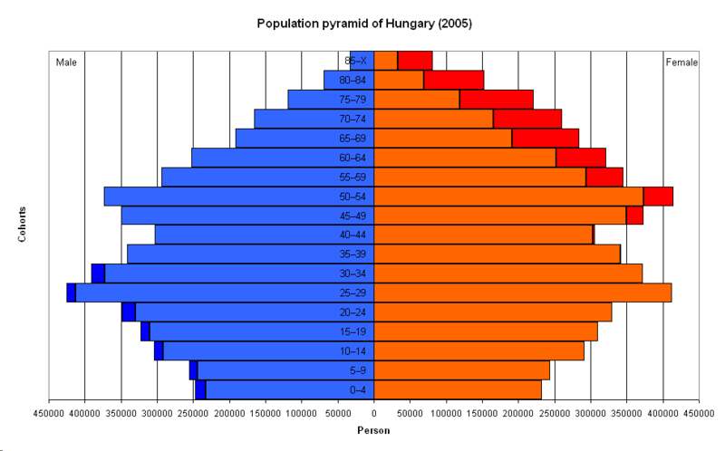 A korfa adatainak elemzése alapján egyértelműen megállapítható a népesség elöregedésének felgyorsulása.