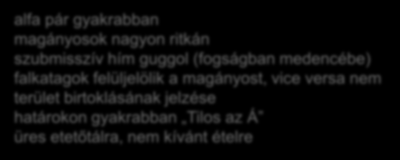 alfa pár gyakrabban magányosok nagyon ritkán szubmisszív hím guggol (fogságban medencébe) falkatagok felüljelölik a magányost, vice versa nem terület birtoklásának jelzése határokon gyakrabban Tilos