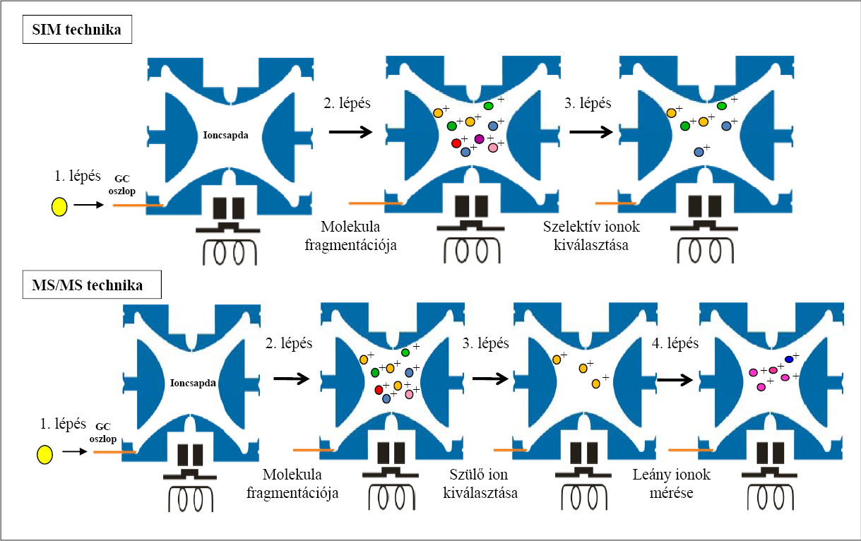 7. Ábra A SIM és az MS/MS módszer szemléltetése A SIM technika során a molekula fragmentációját követően a molekulára jellemző, legintenzívebb fragmensionokat kiválasztjuk, majd ezen ionokat