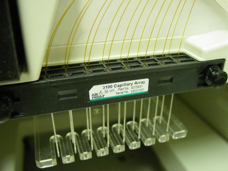 Detecti on window Inlet Buffer Outlet Buffer Sample Sample tray moves tray automatically beneath the