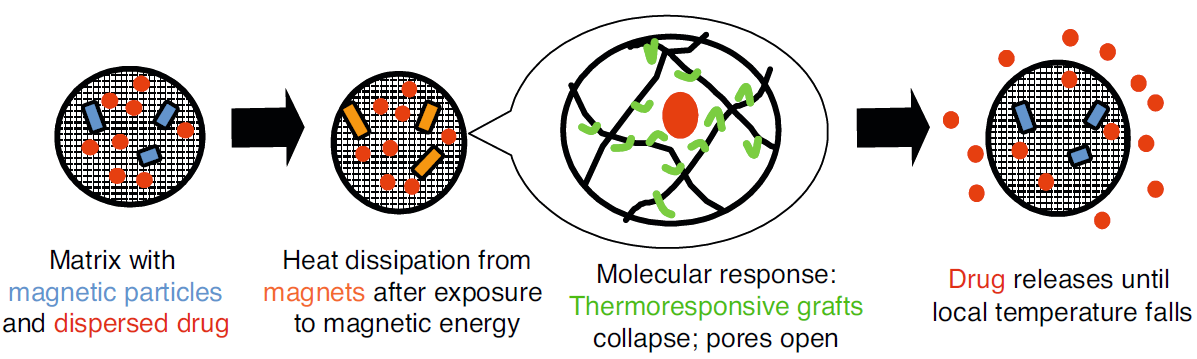 Lokalizált terápia: hatóanyag termikus felszabadítása Mágneses részecskék és gyógyszer polimer mátrixban Mágneses