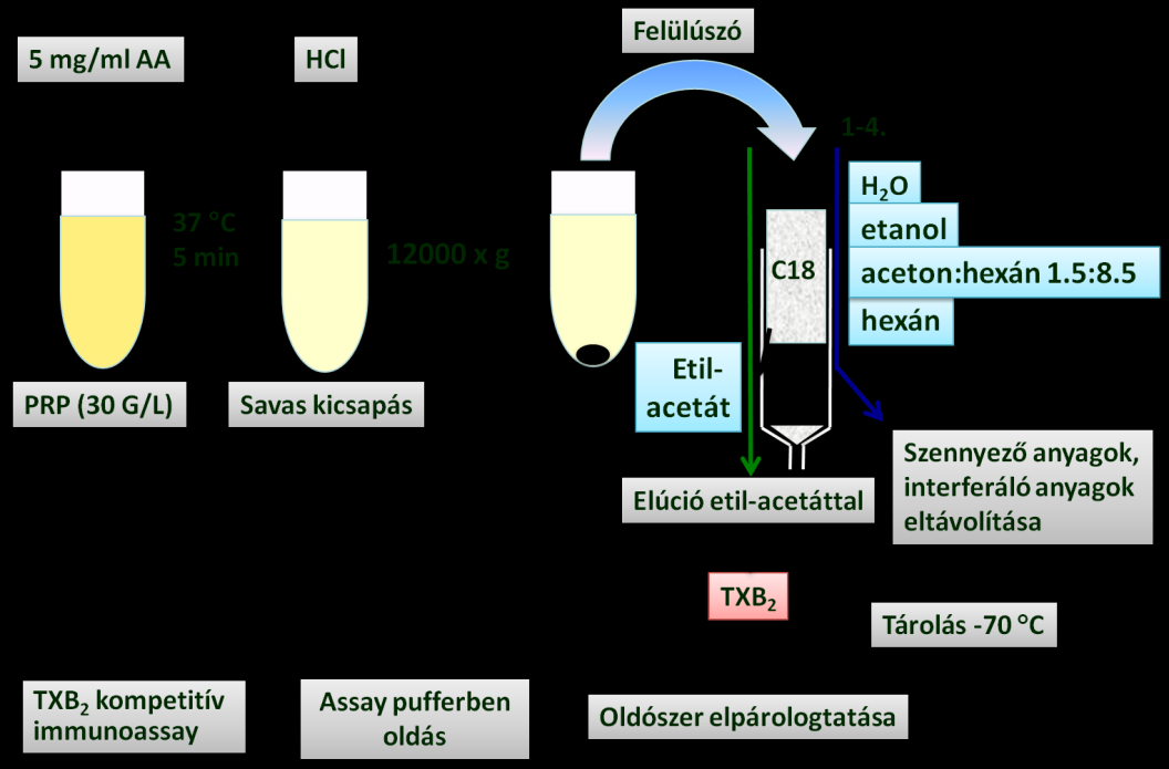 5. Módosított TXB 2 assay a trombociták AA-indukálta TXB 2 -képzésének mérésére A PRP minták trombocita számát PDP-vel való higítással 30 x 10 9 /L-re állítottuk be. A trombocita TXB 2 képződést 12.