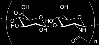 A glükózaminoglikán prekurzora, ami a porc alkotórésze porcerősítő.