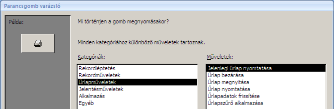 használata gomb! Rekordléptetés Legyen aktív a Vezérlőelem varázslók használata gomb!