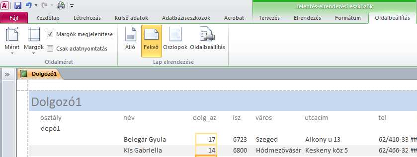 82 Í r t a : V i d a A t t i l a : : h a n s a g i i s k. h u Nézetek Az űrlaphoz hasonlóan többféle nézetben tudunk dolgozni. A jelentés nézet: A végeredményt látod Nyomtathatod!