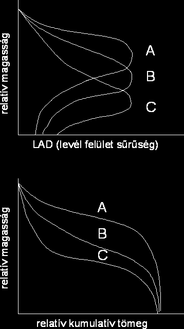 A növény szerepe a talaj-növénylevegő rendszerben függőleges menti összegzett értéke fejezi ki a levélzet eloszlását.