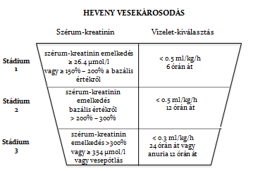 II. táblázat. A heveny vesekárosodás súlyossági fokozatai (RIFLE) (Hoste EAJ et al.