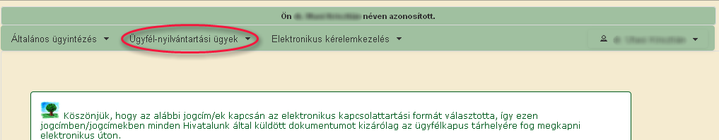 Állandó meghatalmazás vagy elsődleges képviselet létesítéséhez a megjelölt Ügyfélnyilvántartási ügyek menüpontban található ügyintézési felület ad lehetőséget.