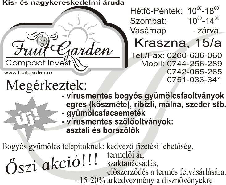 Szilágyság/2. Információ 11.