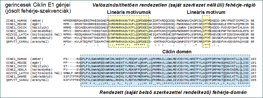 Bevezetés a bioinformatikába fonálféreg és ecetmuslica), ahol a véletlen mutációk már szinte minden olyan pozíciót kicseréltek, amely nem volt abszolút nélkülözhetetlen, akkor a megfordítás is igazzá