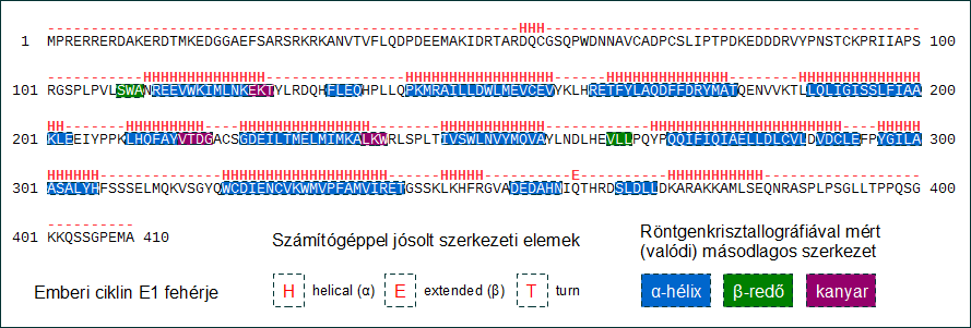 Bevezetés a bioinformatikába 10.13.