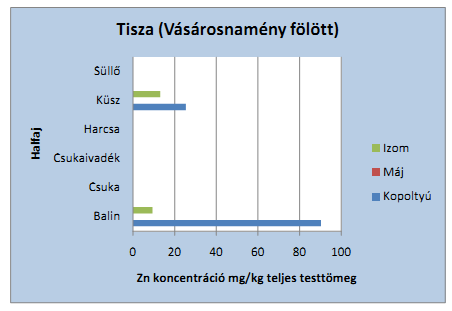 13. ábra: Mintavételi térségek szerinti értékelés Tisza (Vásárosnamény fölött) Bodrog (torkolat előtt) A Bodrog torkolat előtt a csuka és csukaivadék kopoltyújában mért Zn koncentráció (231,1 mg/kg