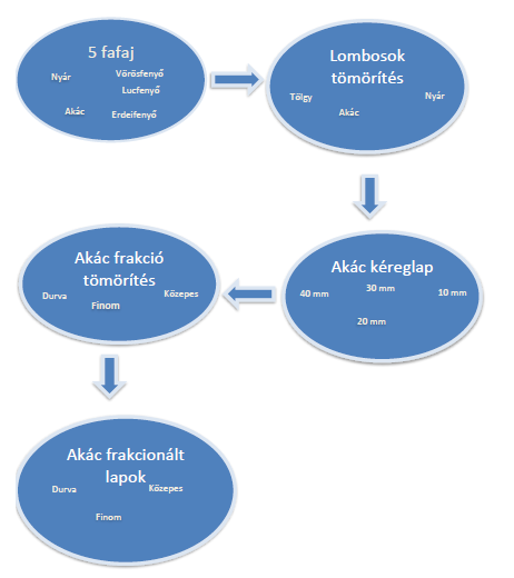 5. Vizsgálati anyagok és módszerek kidolgozása Kísérleteinket öt fafaj (fehér akác (Robinia pseudoacacia L.), nyár (Populus euramericana cv. Pannónia L.), vörösfenyő (Larix decidua L.