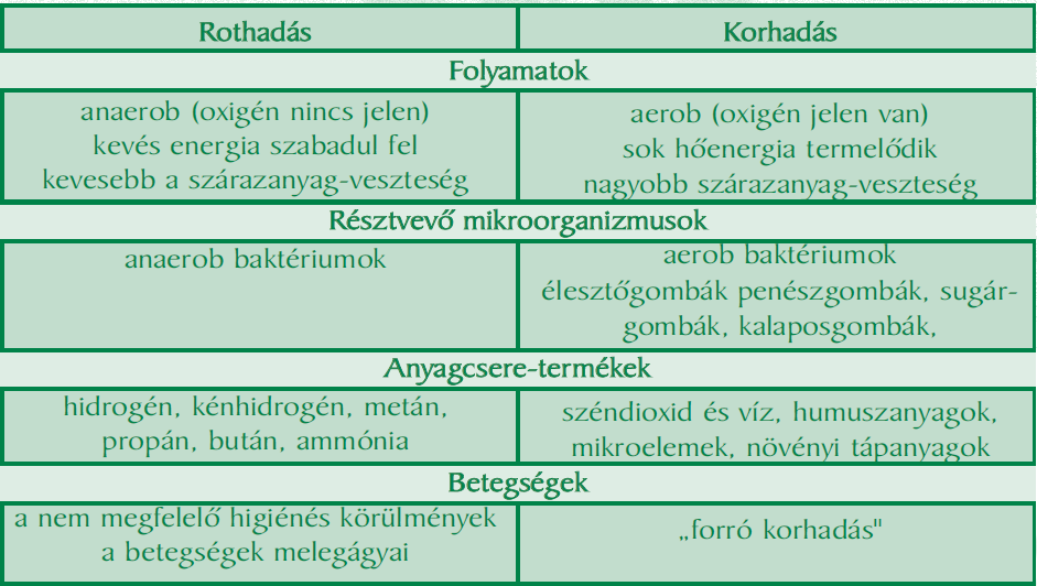 A KORHADÁS ÉS ROTHADÁS