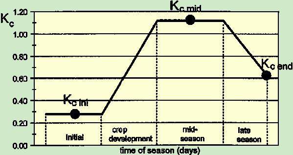 vízigénye általában kisebb, mint a potenciális párolgás és értéke egy időben változó k növényi tényező alkalmazásával határozható meg.