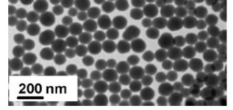 Bevezetés nanoméretű anyagok vízoldható CdTe kvantum