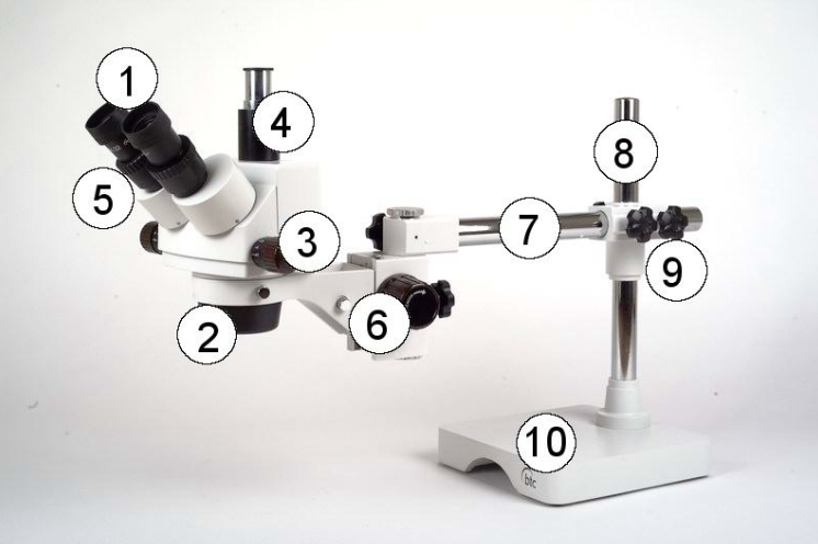 1. ábra Az IND C2T mikroszkóp (a C2Z típuson a fototubus hiányzik) 1. Okulárok 2. Zoom objektív 3. Zoom állító gomb 4.