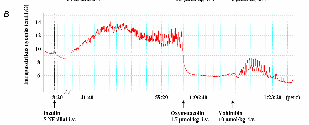 inzulin-stimulált motilitáshoz képest (2. oszlop) (ANOVA, Newman-Keuls post hoc teszt). 23. ábra. Reprezentatív kísérleti regisztrátumok, melyek a yohimbin (5 és 10 µmol/kg i.v.) hatását szemléltetik a clonidin (1.