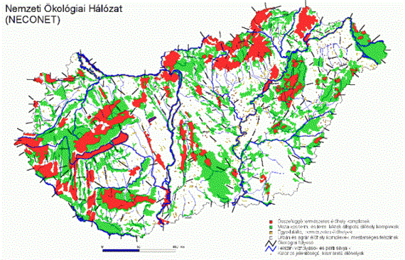 Magyarországon a Nemzeti Ökológiai Hálózat (88 89. ábra) tervezése 1993-ban kezdődött meg az IUCN (International Union for Conservation of Nature, Természetvédelmi Világszövetség) szervezésében. 89. ábra Természetes élőhely komplexek Magyarországon.