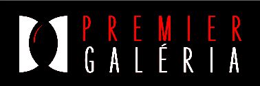 A Premier Galéria borítékos aukciója a 2013. június 22-i Múzeumok éjszakája alkalmából. Az anyagot a galéria első három aukcióján megmaradt tételekből válogattuk össze.
