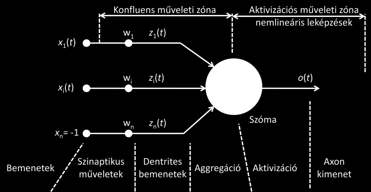 dendritek szóma sejtmag axon hillock preszinaptikus sejt axon mielin hüvely információ szinaptikus végződés szinapszis posztszinaptikus sejt 6.