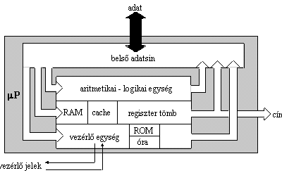 A szó hosszát, amellyel a processzor dolgozik, belső szóhossznak nevezzük. Emellett fontos még a buszrendszer szóhossza is: az adatbusz és a címbusz bitszélessége.